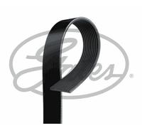 MICRO-V MULTI-RIBBED BELT GATES OE QUALITY REPLACEMENT 10PK1465HD