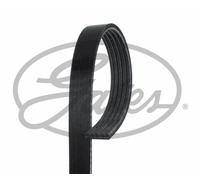 MICRO-V MULTI-RIBBED BELT GATES OE QUALITY REPLACEMENT 5PK1240XS