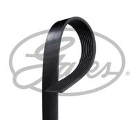 MICRO-V MULTI-RIBBED BELT GATES OE QUALITY REPLACEMENT 8PK1295XS