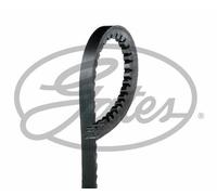 MICRO-V MULTI-RIBBED BELT GATES OE QUALITY REPLACEMENT AVX13X725HD