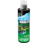 Microbe-Lift pH Increase freshwater - 473 ml