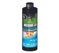 MicrobeLift NiteOut II (16 oz)