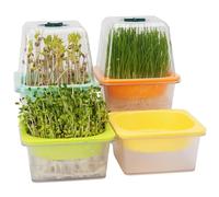 Microgreen Growing Trays with Lid, LUVCSOY Sprouting Tray with Humidity Dome, 3 mm Large Mesh Holes, BPA Free, Seed Sprouter Kit for Growing Large Seeds, Like Sunflower, Mung Beans, Green Pea - 4 Pack
