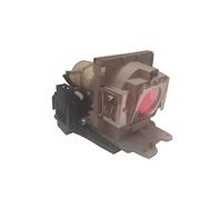 MicroLamp ML10519 Projection Lamp (BenQ MP730) Projection Lamps