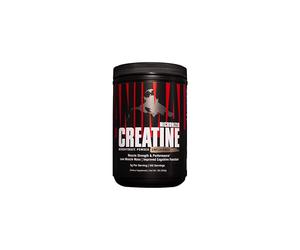 Micronized Creatine - Delay Muscle Fatigue, Enhance Endurance, Boost Strength - Creatine Monohydrate Supplement for Men & Women - 500g