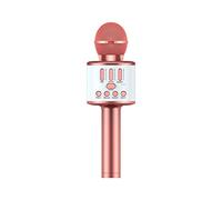 Microphone Cordless Mic System with Rechargeable Receiver for Karaoke Singing Wedding DJ Party Church Class Rose Gold