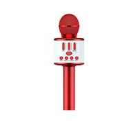 Microphone Cordless Mic System with Rechargeable Receiver for Karaoke Singing Wedding DJ Party Speech Church Class Red
