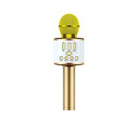 Microphone Cordless Mic System with Rechargeable Receiver for Karaoke Singing Wedding DJ Party Speech Church Class Gold
