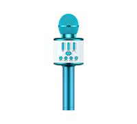 Microphone Cordless Mic System with Rechargeable Receiver for Karaoke Singing Wedding DJ Party Speech Church Class Blue