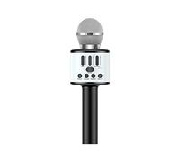 Microphone Cordless Mic System with Rechargeable Receiver for Karaoke Singing Wedding DJ Party Speech Church Class Black
