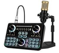 Microphone Kit, Recording Studio Equipment, Perfect for Recording, Live Gaming, Streaming, Guitar with PC, Laptop, Smartphone T100