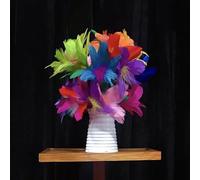 Microphone to Bouquet Stage Magic Tricks Illusions Gimmicks Props Magicians' Microphone Changes into Feather Flowers Funny Magic