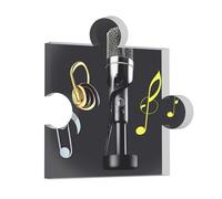 Microphone with Musical Notes Acrylic Print Gifts Decor Home Signs Weddings Memorial Desks Office Heart Personalised