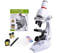 Microscope Accessories Kit 450X / 1200X Kids Home And School Biological Microscope Scientific Experiment Tool Microscope Slides(1200X Without Mount)