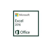 Microsoft Excel 2016, 1u Spreadsheet Government (GOV) 1 license(s)