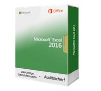 Microsoft Excel 2016 Win (Multi) (ESD)