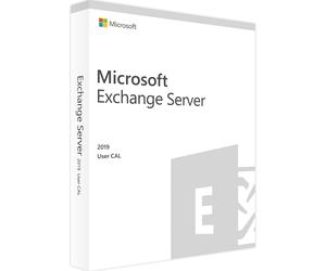Microsoft Exchange Server 2019 Standard, 1 User CAL