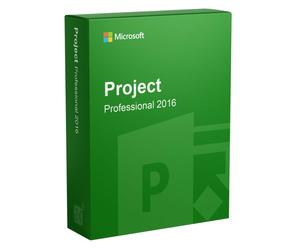 Microsoft Project 2016 Professional