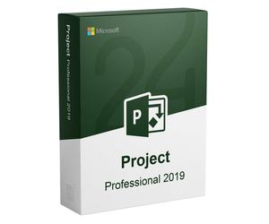 Microsoft Project 2019 Professional