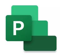 Microsoft Project Professional 2024 Project management Full 1 license(s)