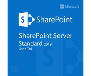 Microsoft SharePoint Server 2019 Standard User CAL