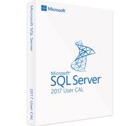 Microsoft SQL Server 2017 Standard - 1 User CAL