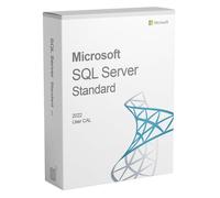 Microsoft SQL Server 2022 Standard 1 User CAL