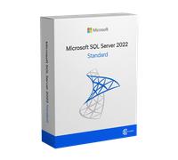 Microsoft SQL Server 2022 Standard - Original Lifetime License