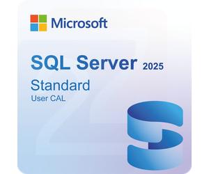 Microsoft SQL Server 2025 Standard 1 User CAL
