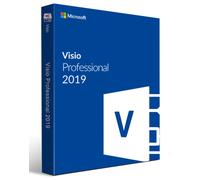 Microsoft Visio Professional 2019 Office suite Education (EDU) 1 license(s) Multilingual