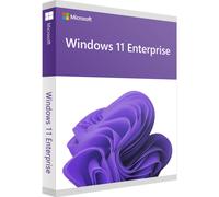 Microsoft Windows 11 Enterprise