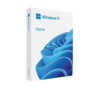 MS Windows 11 Professional