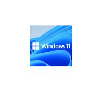 Microsoft Windows 11 Home 64-Bit Oem Dvd Single Copy KW9-00632