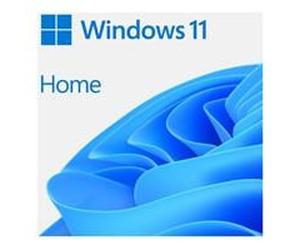 Microsoft Windows 11 Home 64bit English USB Flash Drive