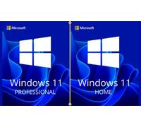 Microsoft Windows 11 Home Lifetime License 1PC