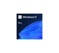 Microsoft Windows 11 Pro 1 license(s)