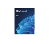 Microsoft Windows 11 Pro OEM