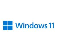 Microsoft Windows 11 Pro OEM