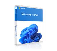 Microsoft Windows 11 Pro OEM