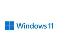 Microsoft Windows 11 Pro OEM