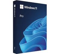 Windows 11 Pro 64Bit Digital Download