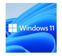 Microsoft Windows 11 Pro OEM