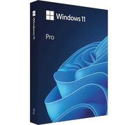 Microsoft Windows 11 Pro (PC)