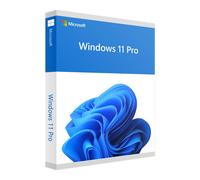 Microsoft Windows 11 Pro OEM