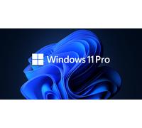 Microsoft Windows 11 Professional