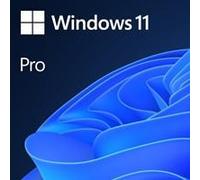 Microsoft Windows 11 Professional 64bit English OEI DVD Operating Software OEM