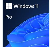 Microsoft Windows 11 Pro OEM
