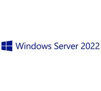 Microsoft Windows Server 2022 Client Access License (CAL)