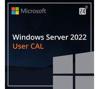 Microsoft Windows Server 2022 User CAL 10 CALs