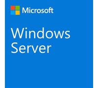 Microsoft Windows Server CAL 2022 Client Access License (CAL) 1 license(s)